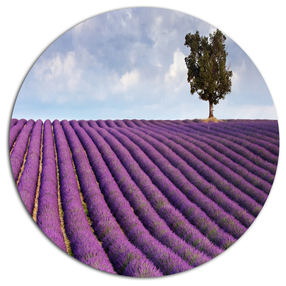 Lone Tree In Provence Lavender Field, Landscape Round Artwork, 11"