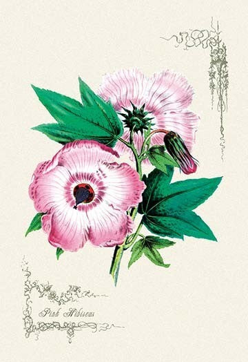 Pink Hibiscus - Gallery Wrapped Canvas Art 28" x 42"