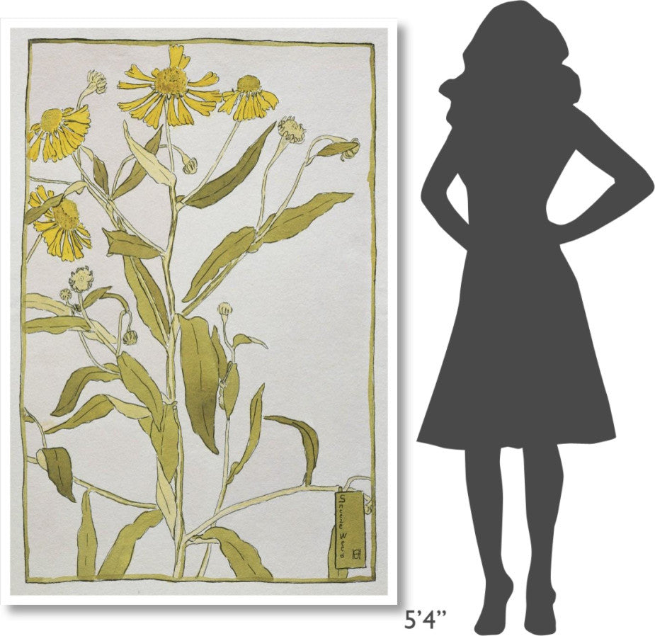 "Sneeze Weed" Digital Paper Print by Hannah Borger Overbeck, 42"x62"