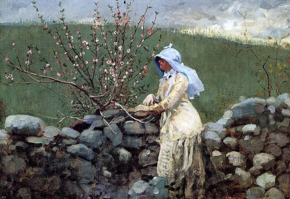 Winslow Homer Peach Blossoms, 18"x27" Wall Decal