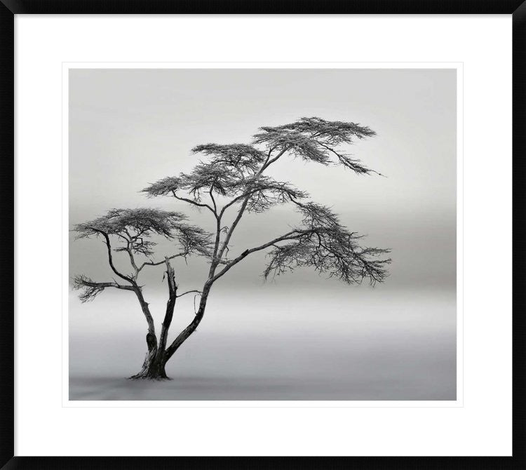 "A Very Long Story" Framed Digital Print by Piet Flour, 30x26"