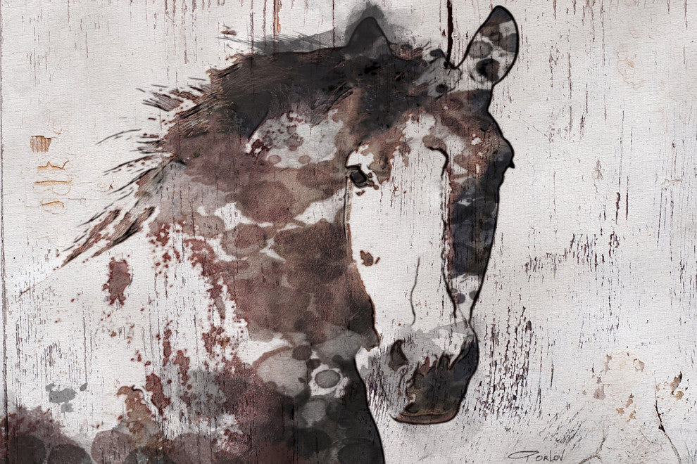 "Gorgeous Horse" Painting Print on Wrapped Canvas, 36"x24"