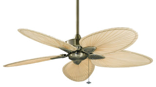 Windpointe, Antique Brass 5-Blade/Isp4