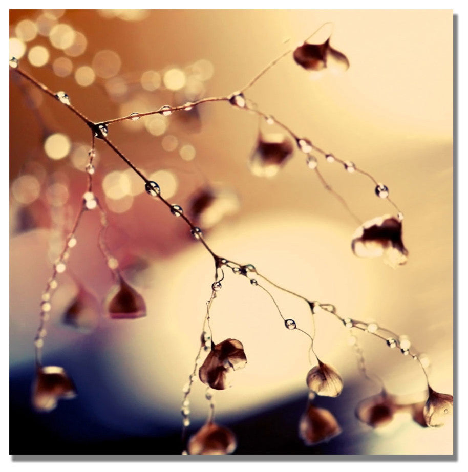 'Summer Concert' Canvas Art by Beata Czyzowska Young