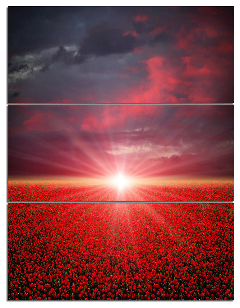 "Red Poppies Field at Sunset" Metal Wall Art, 3 Panels, 28"x36"