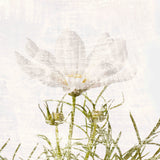 "Symphony VIII" Painting Print on Canvas by Aryai