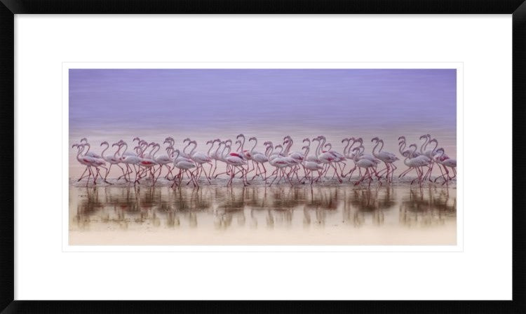 "Comrades In Color" Framed Digital Print by Ahmed Thabet, 30x18"