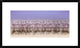"Comrades In Color" Framed Digital Print by Ahmed Thabet, 30x18"