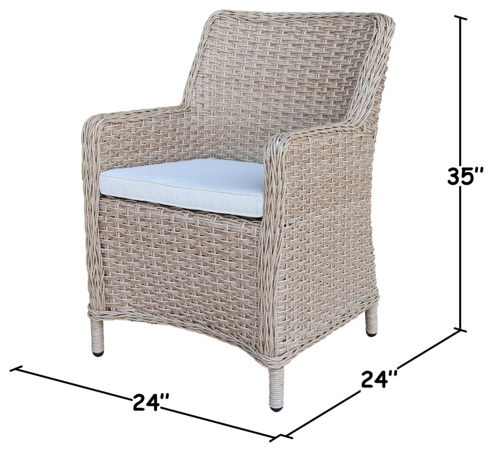 Outdoor Wicker Patio Dining Chair with Cushion