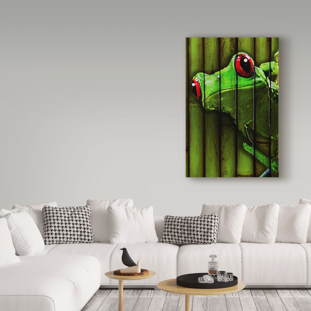 "Camo Frog" by Dana Brett Munach, Canvas Art, 30"x47"