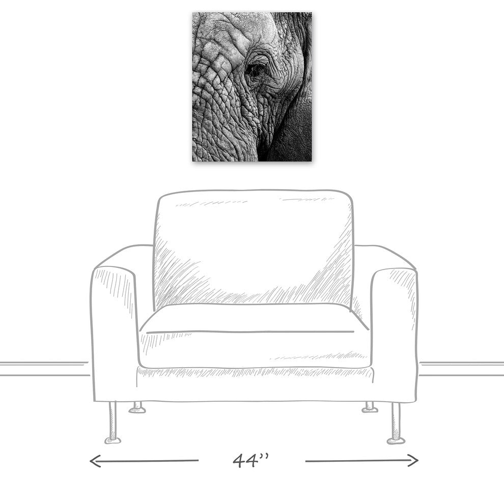 Elephant Face Print on Canvas