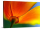 "Summer" Wrapped Canvas Art Print, 48"x32"x1.5"