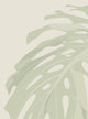 Oceanside Palm Leaves Vinyl Peel and Stick Mural, Green, 24"x96", 6 Pack