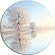 Frosty Winter Tree By Rising, Photo Large Disc Metal Wall Art, 23"