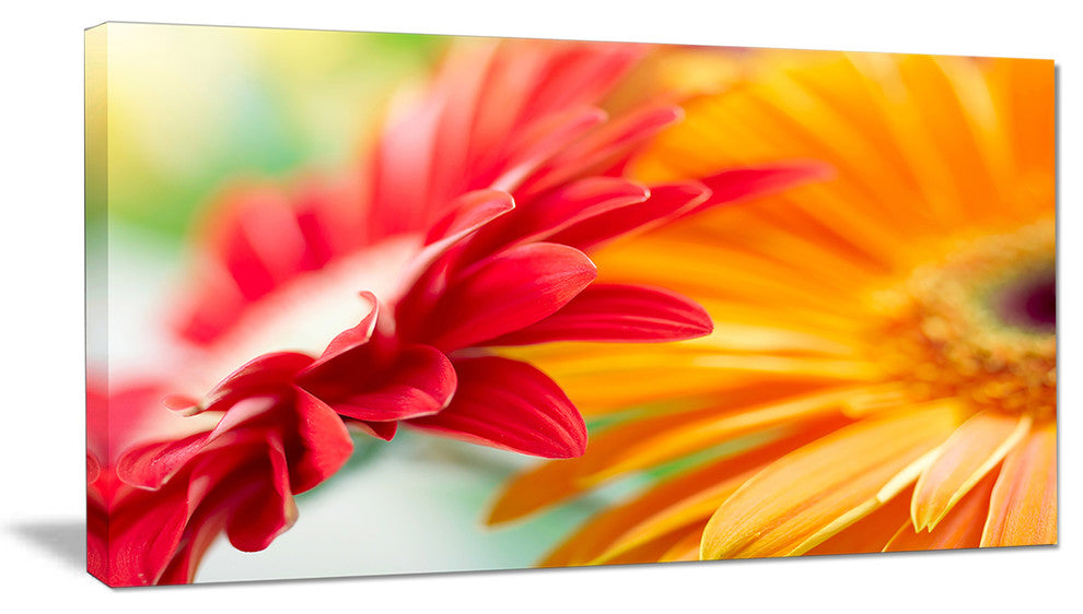 Red and Yellow Daisy Flower, Floral Canvas Art Print, 32"x16"
