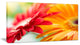 Red and Yellow Daisy Flower, Floral Canvas Art Print, 32"x16"