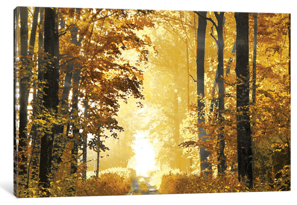 "Sunlit Path" by Derek Scott, Canvas Print, 26"x18"