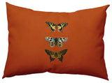 Butterflies Polyester Indoor Pillow, Perfect Orange, 14"x20"