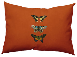 Butterflies Polyester Indoor Pillow, Perfect Orange, 14"x20"