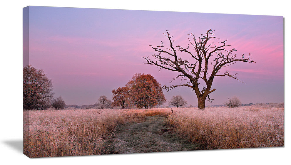 "Fairy Autumn Sunrise With Lonely Tree" Landscape Wall Art, 40"x20"