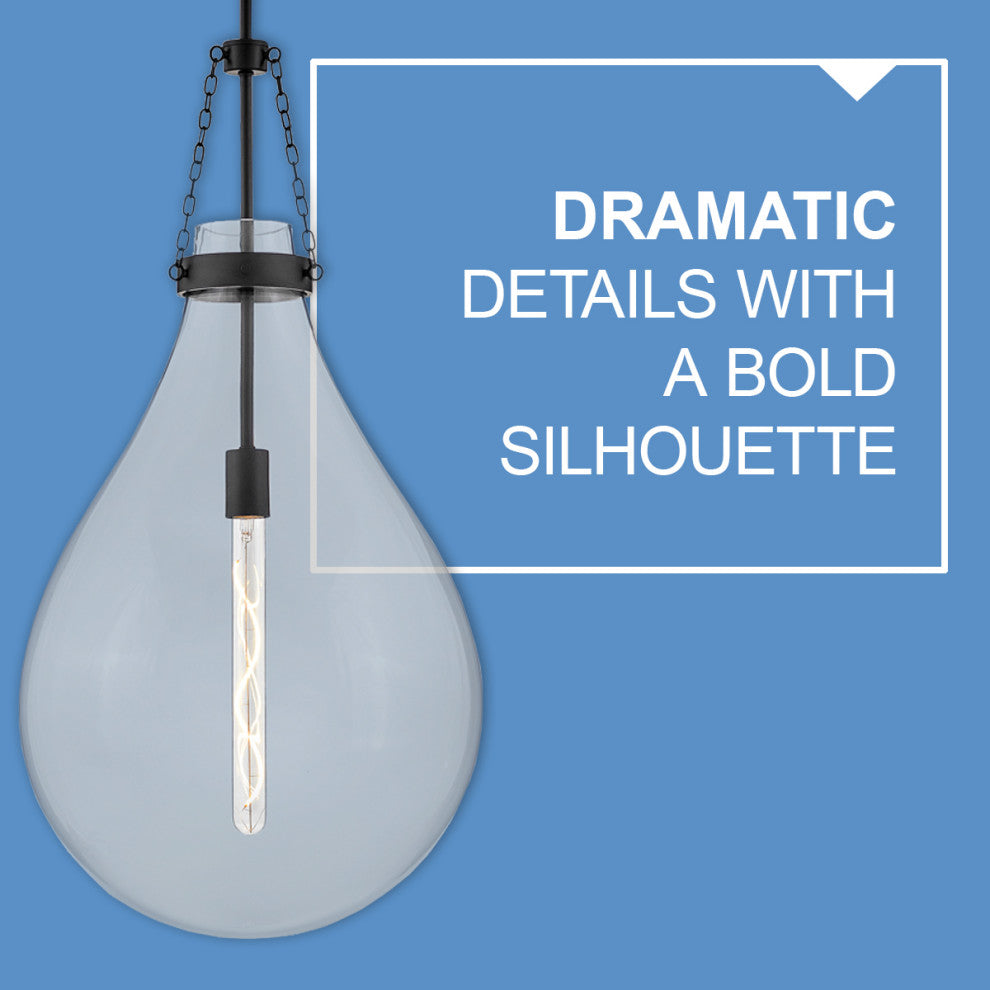 Hinkley Eloise 22.25" Small Pendant Light, Black + Clear Glass