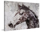 Marmont Hill, "Steel Dust Horse" by Irena Orlov Painting Wrapped Canvas, 36x24