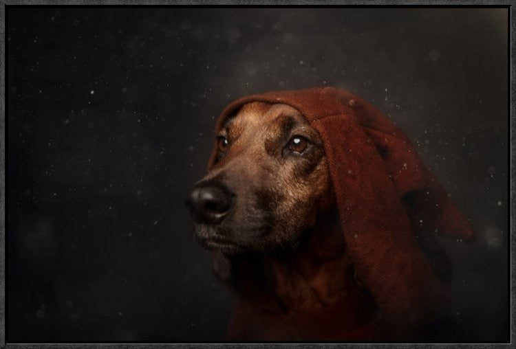 "The Night-Watchman" Framed Canvas Giclee by Heike Willers, 25x17"