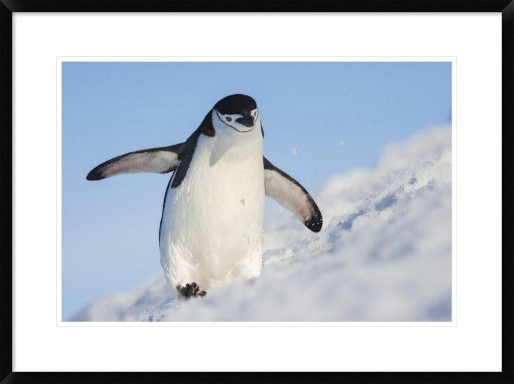 "Running Up That Hill" Framed Digital Print by Hillebrand Breuker, 32x24"