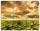Beautiful View of Sky and Moss, Landscape Triptych Canvas Art, 36x28, 3 Panels
