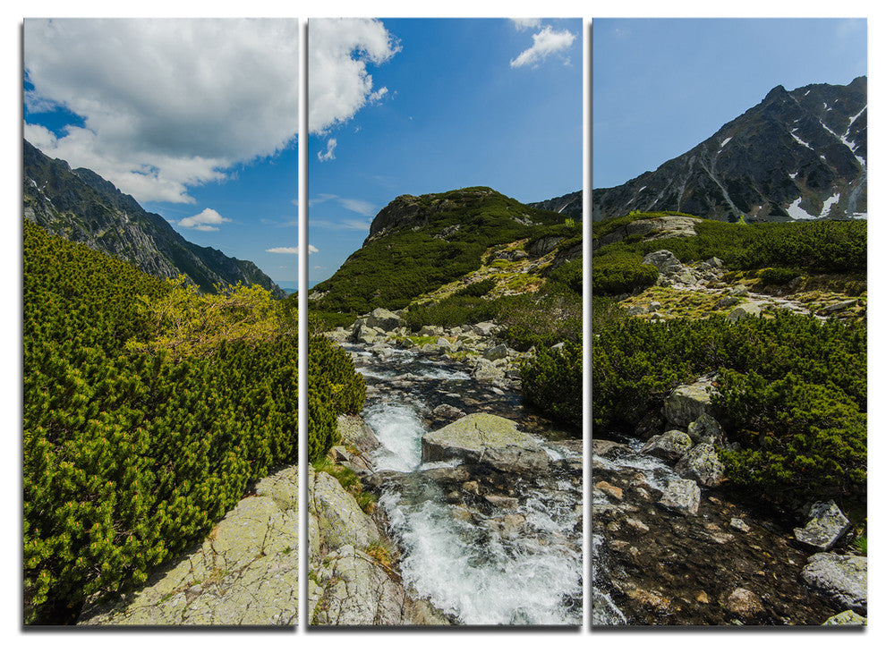 "Alpine Stream in High Mountains" Art Print Canvas, 3 Panels, 36"x28"