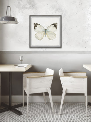 "Rainforest Butterfly" Framed Painting Print, 18x18
