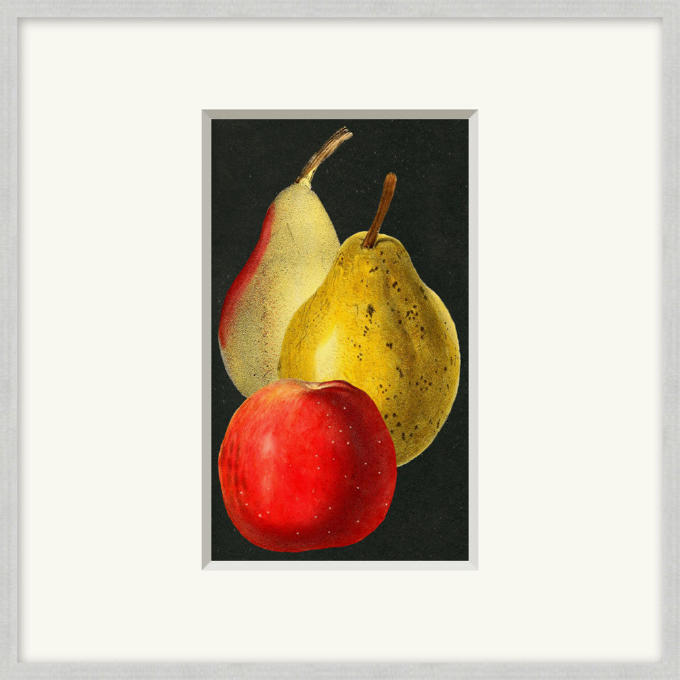 Fruit Study 2, Giclee Reproduction Artwork