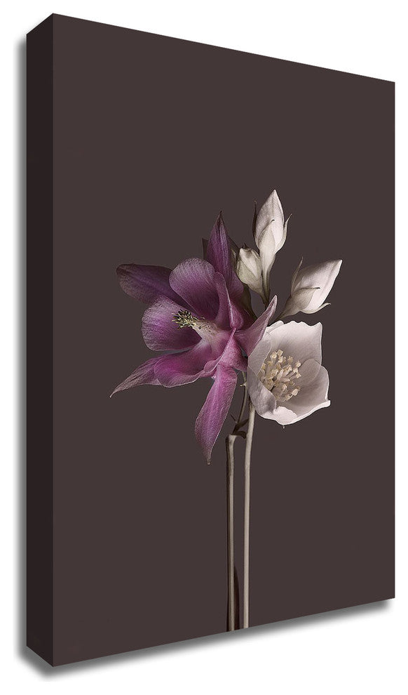Virtue 2 by Design Fabrikken, Print on Canvas, 25"x35"