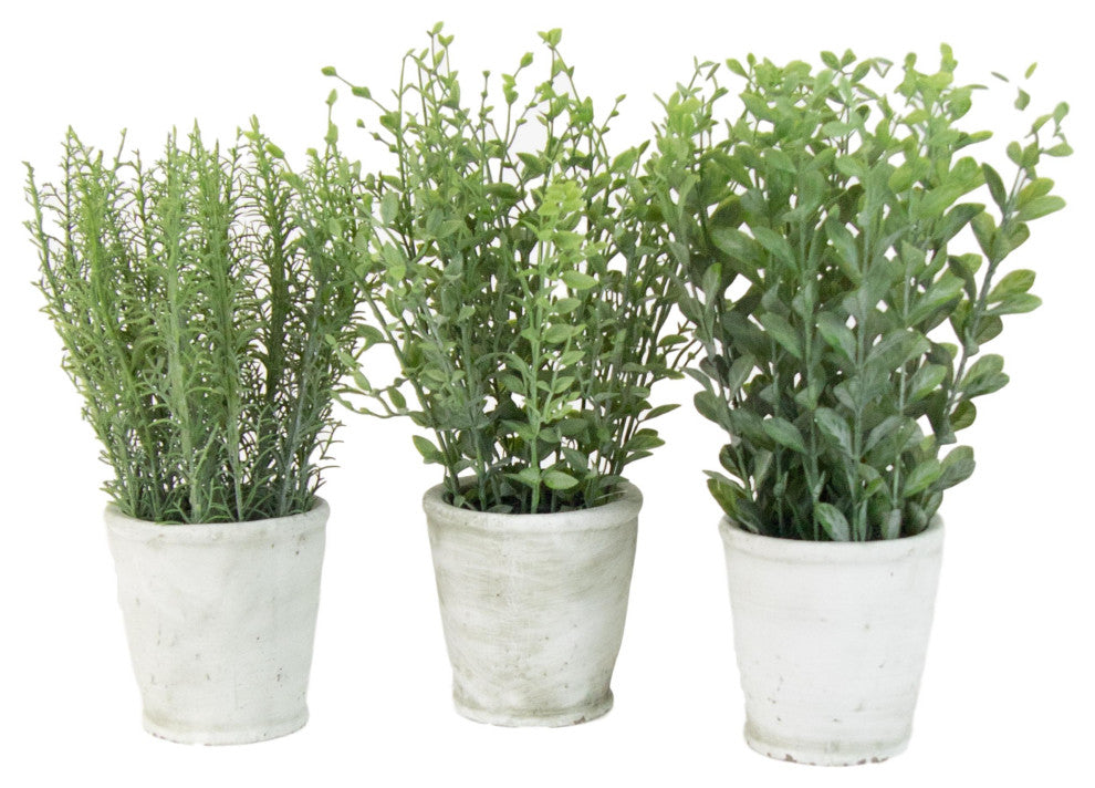 Green Faux Floral Assorted Herb Plants 3-Piece Set