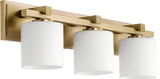 Quorum Lighting 5369-3-80 Transitional Vanity Light, Aged Brass
