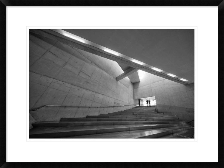 "Silver" Framed Digital Print by Filipe P. Neto, 30x22"