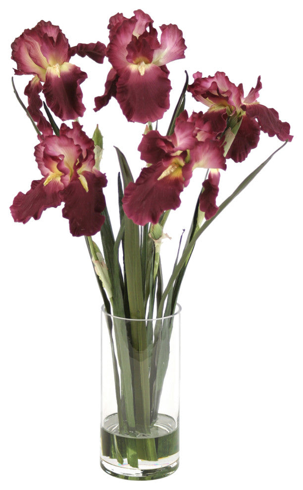 WaterlookÂ® Amethyst Irises with Blades in Glass Cylinder