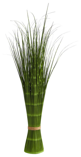 Single product shot on a white background, front-facing view showing the whole plant with no text or diagrams.