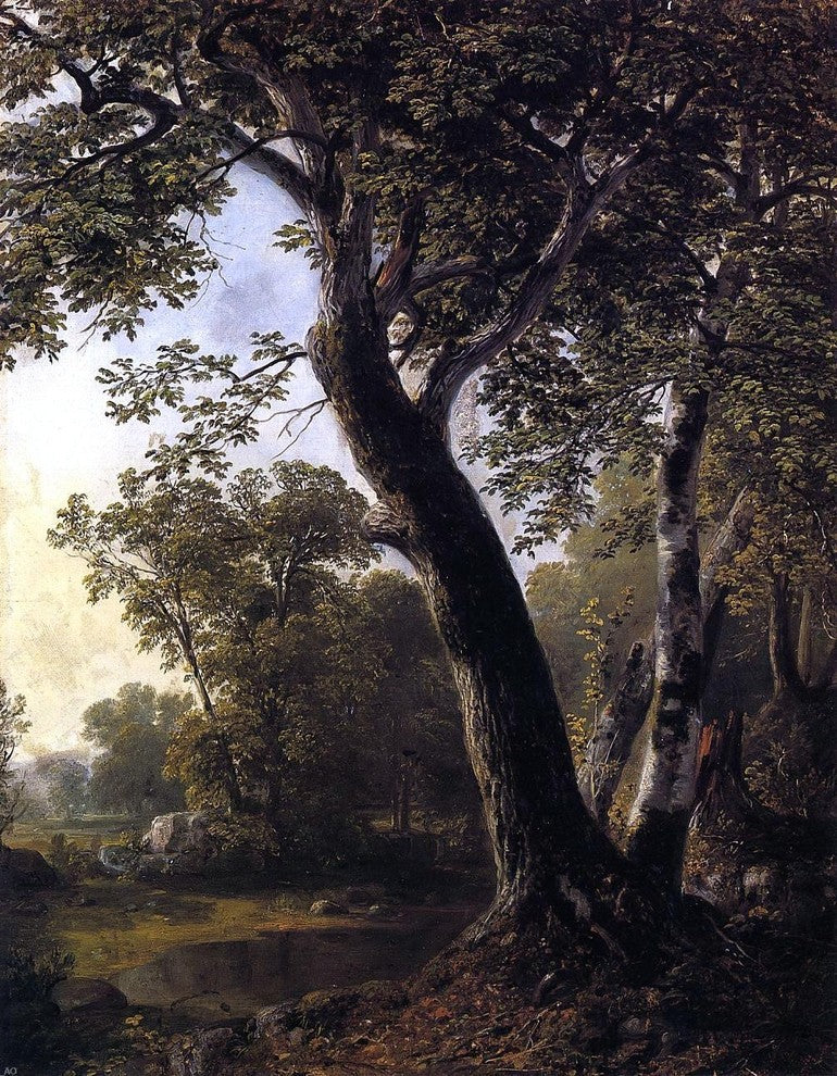 Asher Brown Durand Study at Marbletown Ulster County Gallery Wrapped Canvas