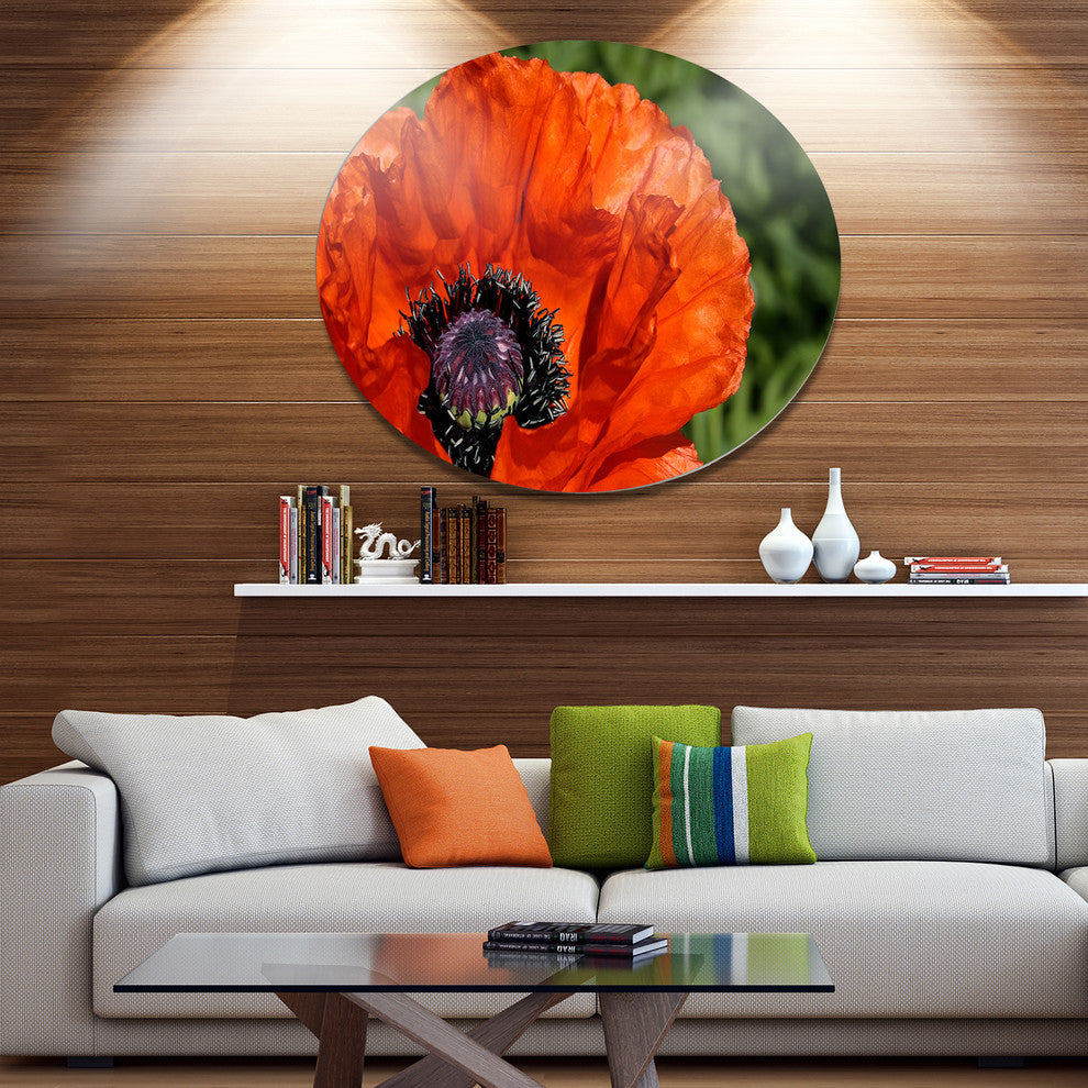 Close-Up View Of Red Poppy Flower, Flower Disc Metal Wall Art, 36"