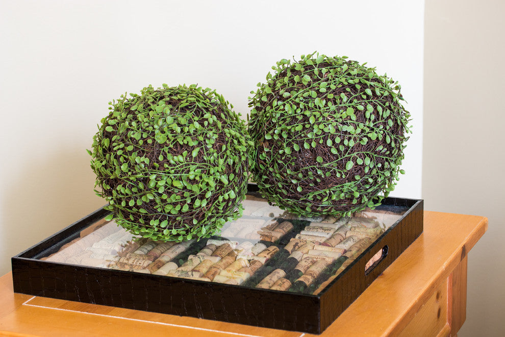 9" Mohlenbechia Ball, Set of 2