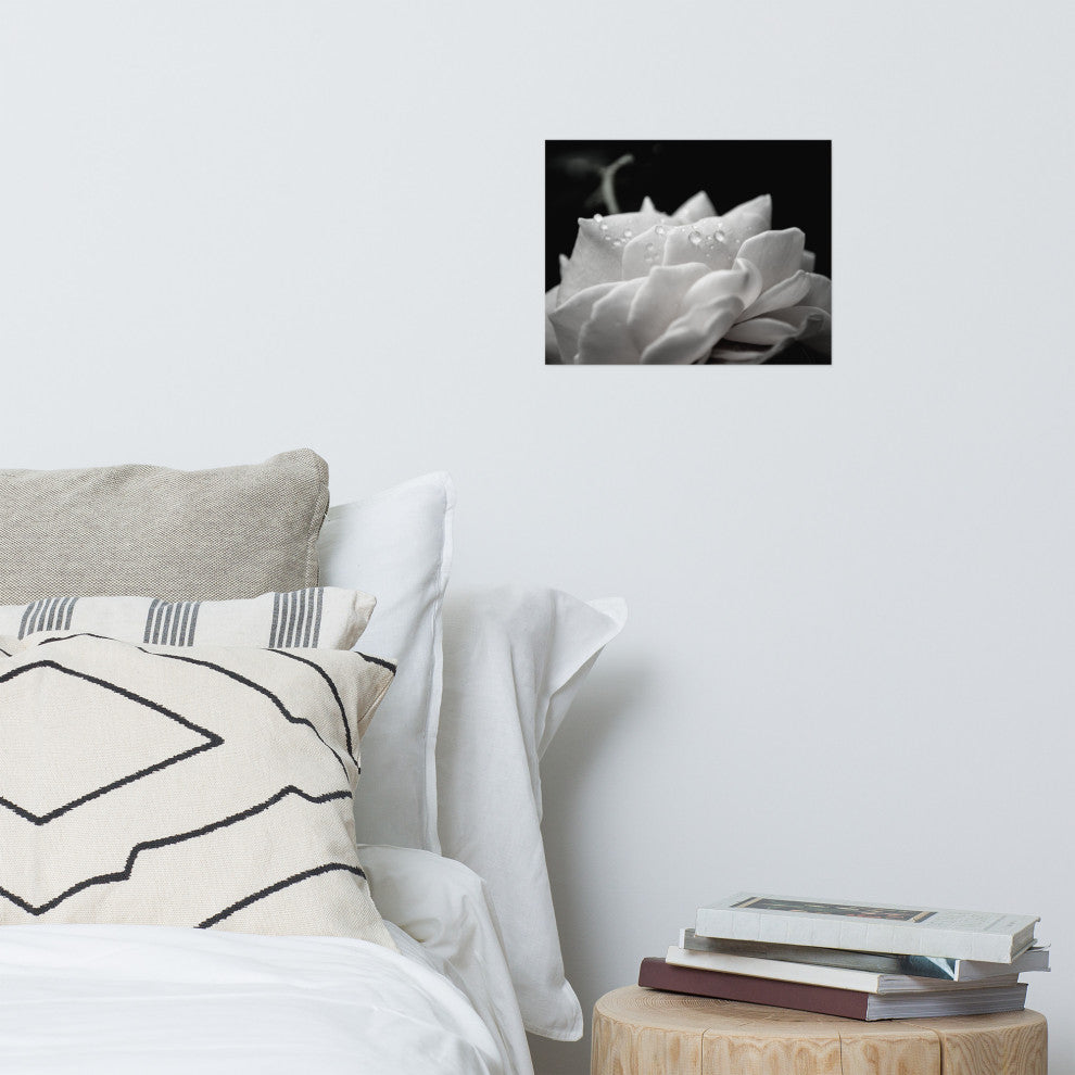 Delicate Rose Black & White Nature Photo Floral Unframed Wall Art Print, 11" X 14"