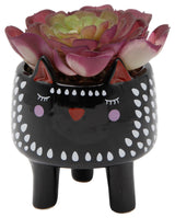 Faux Succulent In 4.75" Small Black Cat Ceramic Planter
