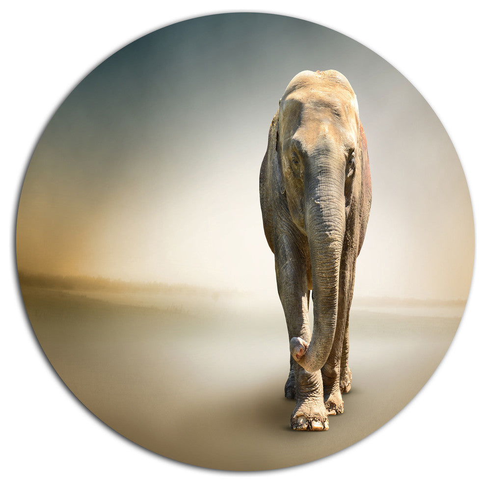 Smart Elephant Walking, Animal Round Metal Wall Art, 23"