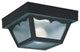 Generation Lighting Lighting 2-Light Outdoor Flush Mount, Clear