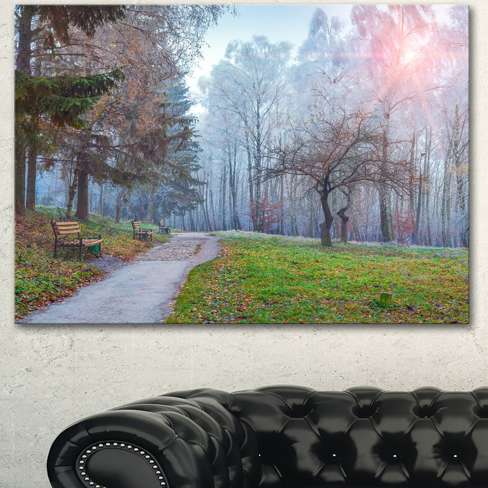Bright Sun over Autumn Trees, Large Landscape Canvas Art Print, 60"x28"