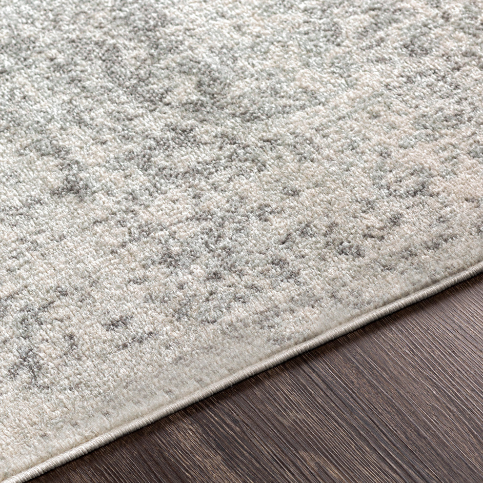 Harput Traditional Black and Light Gray Area Rug, 7'10"x10'3"