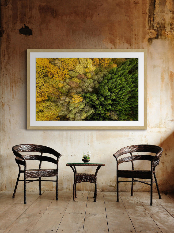 "Dense Growth" Framed Print by Karolis Janulis