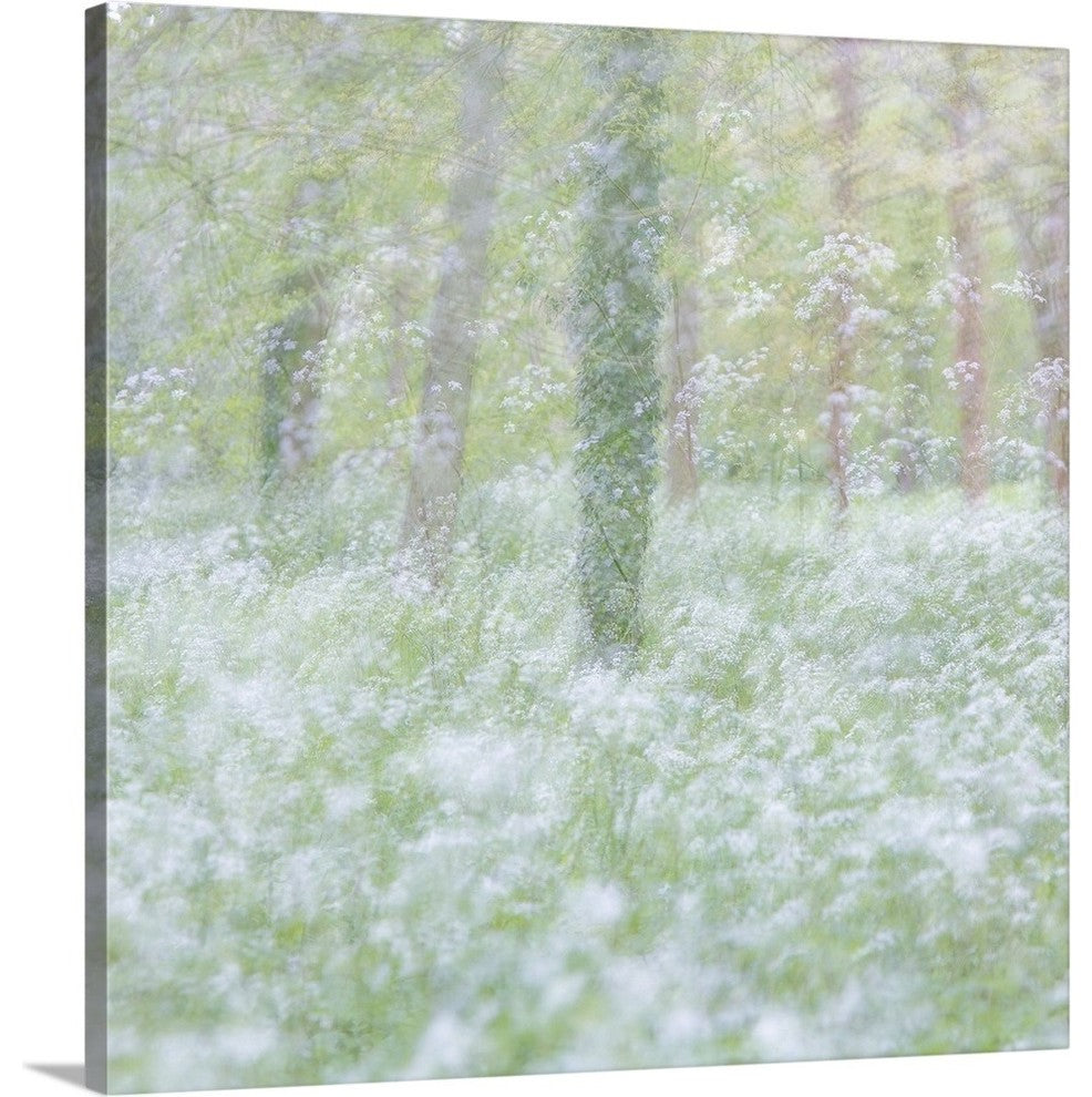 "Springs Innocence" Wrapped Canvas Art Print, 24"x24"x1.5"