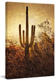 "Silhouette of the Saguaro" Painting Print on Canvas by Robertson